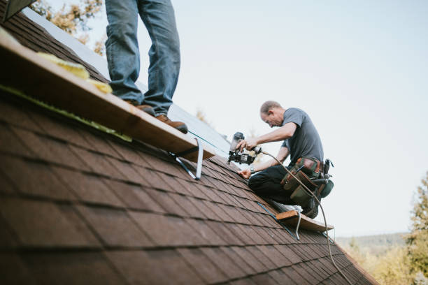 Steel Roofing